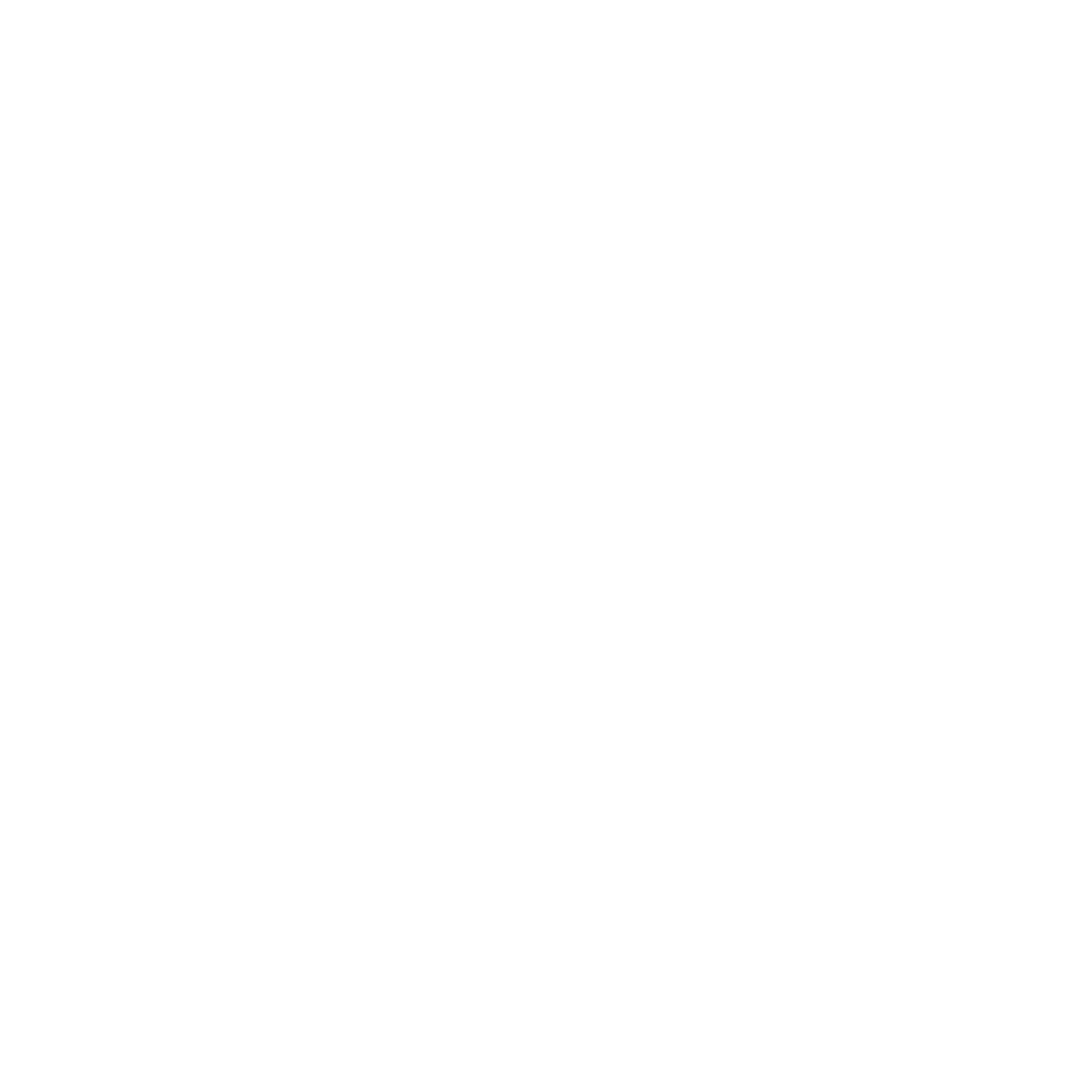 Vulnerability Assessment icon
