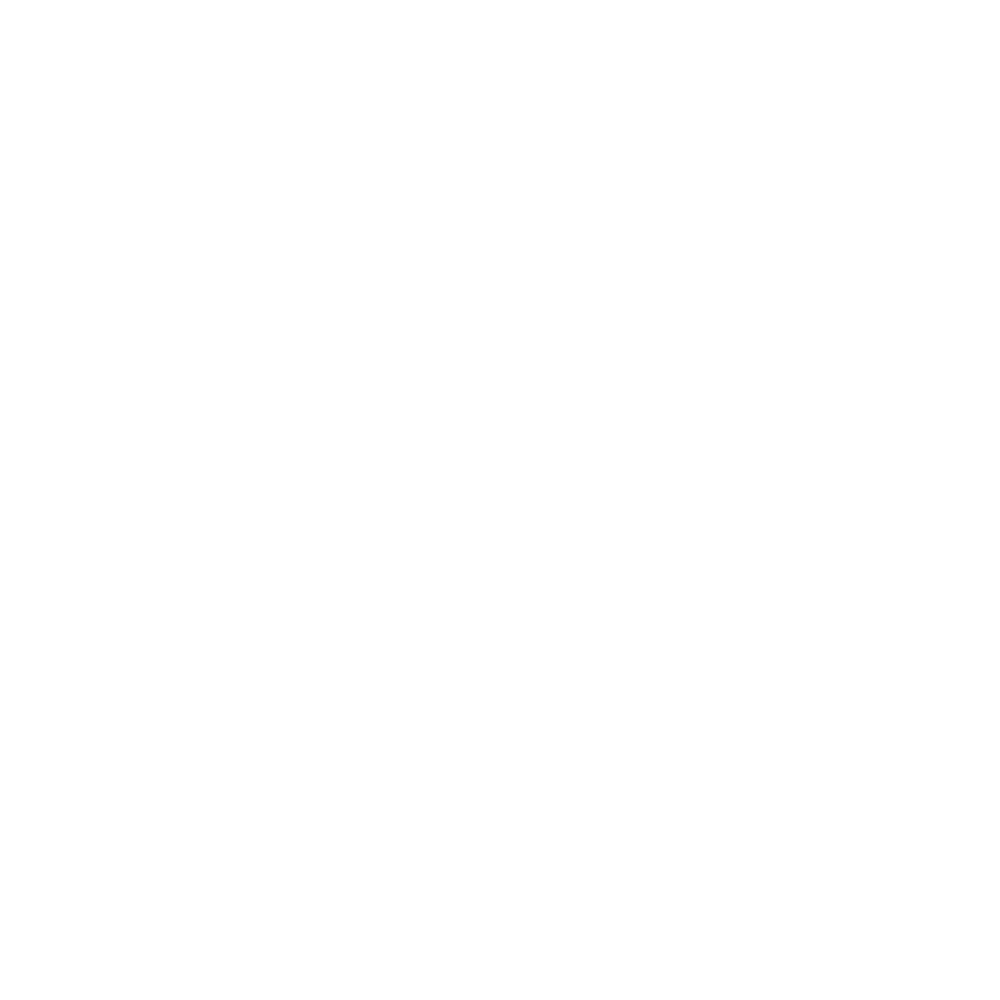 Spatio-Temporal Video Understanding icon